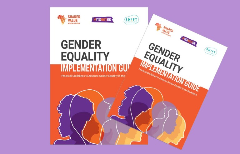 Gender Equality Implementation Guide
